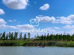 -春花秋色城市公园