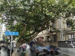 -张果佬年糕卷(科巷店)