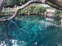 -蝴蝶泉公园