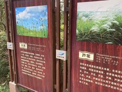 -长广溪湿地公园