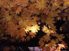 -本溪老边沟风景区