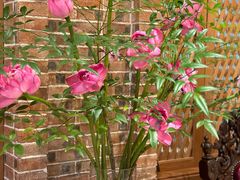 -叶叶菩提·晋福宫