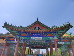 -莲花池公园