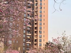 -广东花都湖国家湿地公园