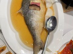 -悦泰环球美食自助(金茂旗舰店)