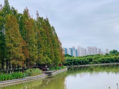 -江心屿景区