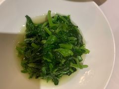 高山豆苗-南麓·浙里(外滩店)