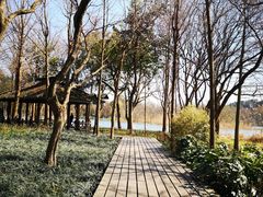 -茅家埠
