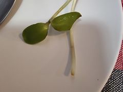 -Barrab restaurant Chiang Rai