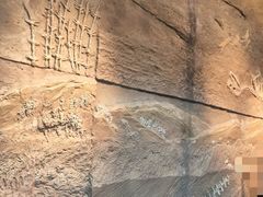 -安徽省地质博物馆