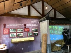 -同里国家湿地公园