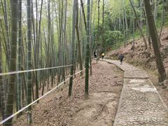 -上海佘山国家森林公园天马山园