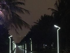 -万绿园
