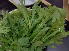-芦月轩羊蝎子(太平桥店)