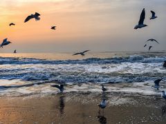 -老虎石海上公园