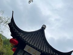 -镇江市南山风景名胜区竹林景区