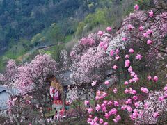 -九皇山景区