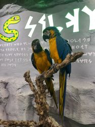 -Zoolung Zoolung动物主题公园(海信广场店)