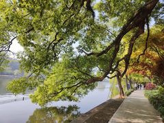 -北山街历史文化街区
