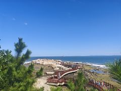 -养马岛旅游度假区