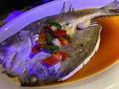 葱烧鲈鱼-绿茶餐厅(乐峰广场店)