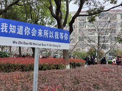 -高东镇樱花园