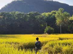 -北坞公园