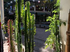 -半坡九号老挝冰咖啡
