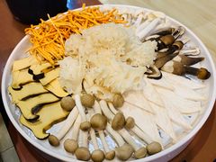 菌菇拼盘-何鲜菇火锅(大营盘店)