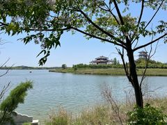 -卤阳湖国家湿地公园