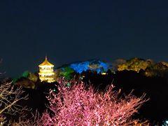 -无锡梅园公园