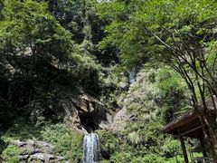 -石台牯牛降景区