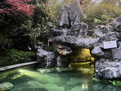 -苏州湾·王焰温泉