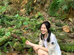 -火炉山森林公园