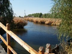 -白渔泡湿地公园