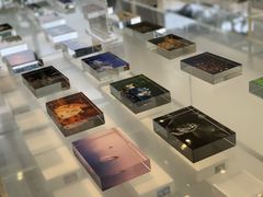 -罗红摄影艺术馆