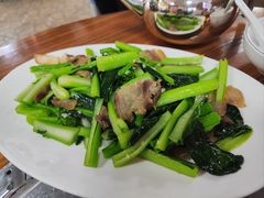 连州菜心-光头强美食