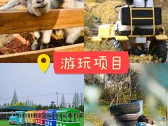 -上海山野camping·户外天幕烧烤·团建拓展营地
