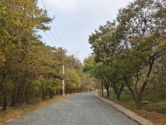 -金龙寺国家森林公园