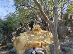 -紫金山山顶公园