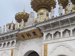 -上海东林寺(金山区)