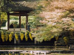 -杭州植物园