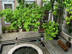 -香港大学