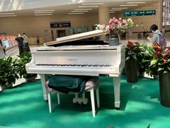 -中国人民解放军总医院