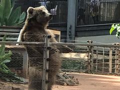 -昆明动物园