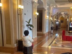 -平湖九龙山庄园圣马可酒店