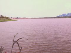 -九龙湖公园