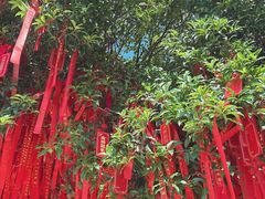 -东钱湖旅游度假区