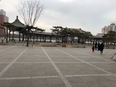 -迎泽公园