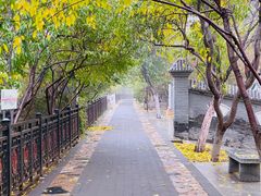 -桃花堤公园
